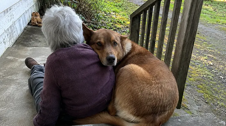 À quatre-vingt-deux ans, je suis tombée dans les escaliers de ma véranda, et la seule créature qui pouvait m&rsquo;aider, c&rsquo;était ma chienne