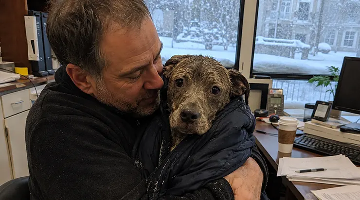 Un homme a trouvé un refuge pour un chien perdu dans une tempête de neige. Quatre ans plus tard, il a reçu un appel déchirant d&rsquo;un refuge situé à plus de 750 kilomètres de là