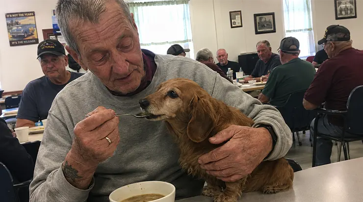 Un ancien militaire muet depuis trois ans se mit à chuchoter – mais seulement à un chien peureux venu d&rsquo;un refuge