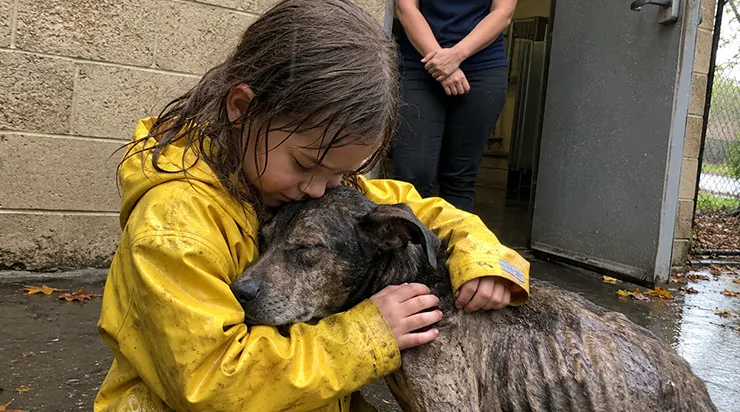 En octobre, un mardi matin à sept heures, une petite fille est entrée dans le refuge et a murmuré : «Je suis venue pour le chien que personne ne veut»