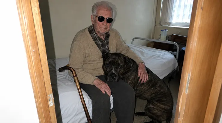 Chaque matin pendant trois ans, un chien errant défiait l’interdiction de la maison de retraite, rejoignait la chambre d’un vieil homme aveugle, et repartait deux heures plus tard