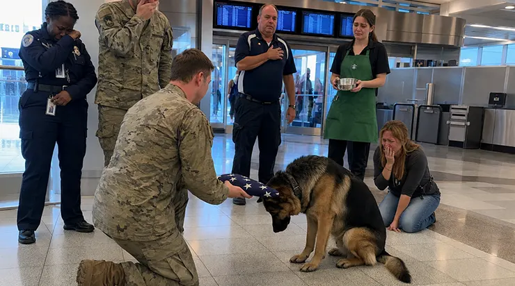 Chaque jour, à 16h42 précises, un berger allemand venait aux portes d&rsquo;arrivée de l&rsquo;aéroport international de Westwood, s&rsquo;asseyait simplement, attendait