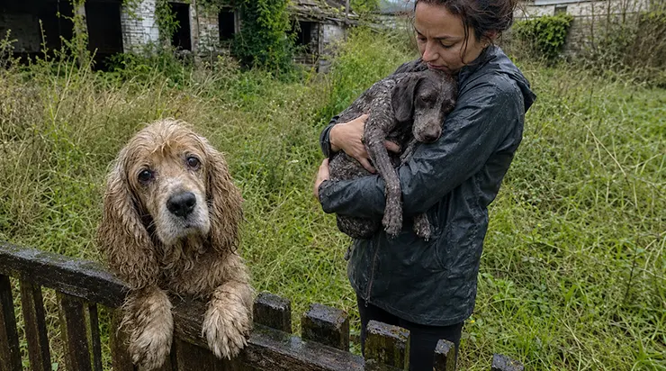 De l&rsquo;autre côté du portail, dix-huit jours sans nourriture ni eau propre, deux chiens attendaient un miracle