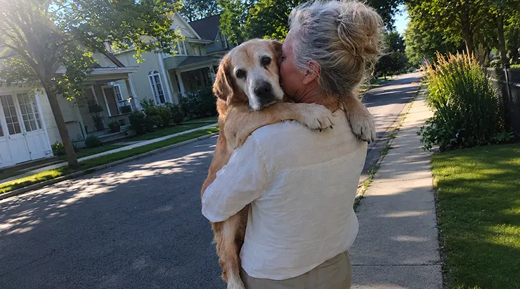 Chaque matin, à 7h15 précises, ma nouvelle voisine descendait la rue entière avec un grand labrador doré dans les bras