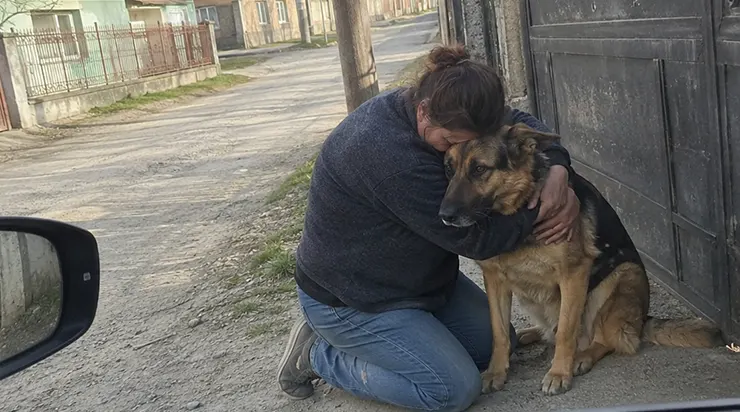 Pendant dix-huit mois, chaque matin à sept heures, le berger allemand se tenait devant le portail et attendait le soldat que tout le monde pleurait déjà