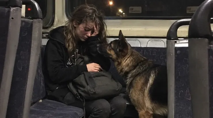 Le chien traversa l&rsquo;allée et posa sa tête sur les genoux de l&rsquo;adolescente silencieuse qui n&rsquo;avait cessé de pleurer depuis qu&rsquo;elle était montée dans le car