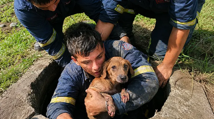 Il est descendu dans les ténèbres là où personne ne pouvait aller, et quand il a sauvé le petit chien du fond du conduit, l&rsquo;animal a refusé de le lâcher