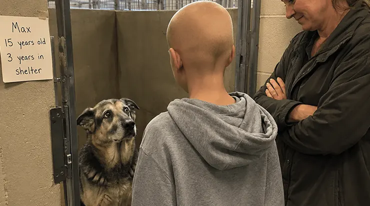 Les médecins l&rsquo;appelaient un miracle parce qu&rsquo;il avait vaincu l&rsquo;impossible. Il s&rsquo;est arrêté devant la cage d&rsquo;un vieux chien que personne n&rsquo;avait voulu depuis trois ans
