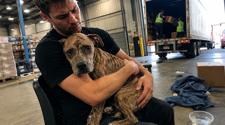 Tout mon salaire partait dans l&rsquo;opération d&rsquo;un chien que je connaissais depuis quelques heures à peine, et c&rsquo;est la meilleure décision que j&rsquo;aie jamais prise