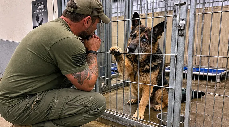 Il a passé six ans à essayer d&rsquo;oublier la guerre, jusqu&rsquo;au jour où il a adopté au refuge le chien qui l&rsquo;avait sauvé