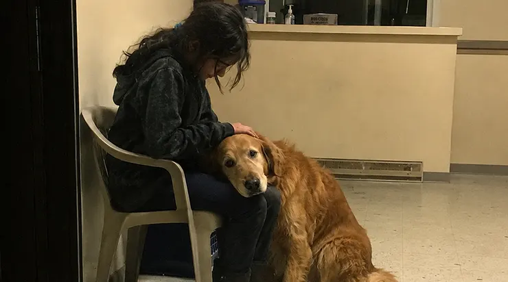 Tout le monde dormait en cette nuit de novembre, sauf un chien doré qui refusait de quitter une adolescente de treize ans qu&rsquo;il n&rsquo;avait jamais vue