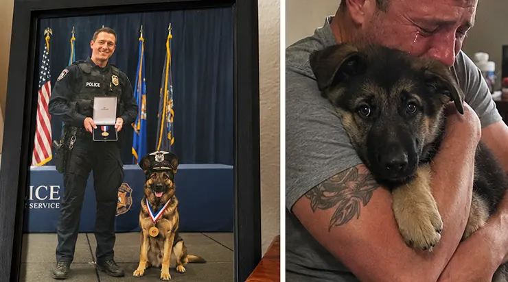 Quand le policier Nathan Wright a perdu son coéquipier K9 Rex lors d&rsquo;une opération spéciale, il était convaincu de ne plus jamais ouvrir son cœur à un autre chien
