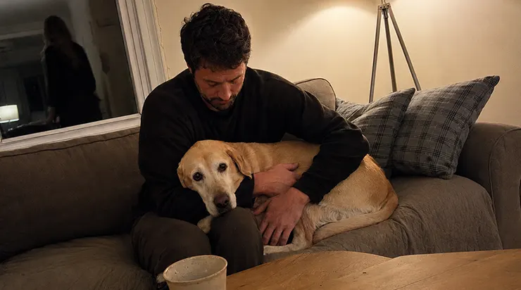 Mon amie m&rsquo;a posé un ultimatum : c&rsquo;était elle ou mon labrador, mais elle ignorait que ce chien m&rsquo;avait déjà sauvé une fois