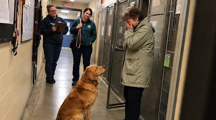 J&rsquo;ai regardé un golden retriever dans les yeux pendant quatre minutes en silence, et le lendemain matin, le refuge m&rsquo;a appelée pour me dire qu&rsquo;il avait pleuré toute la nuit