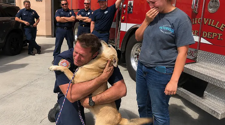 Le pompier Colton Reed a lutté quatre heures contre les flammes pour sauver un chien. Des semaines plus tard, ce chien a reconnu l&rsquo;homme qui lui avait sauvé la vie
