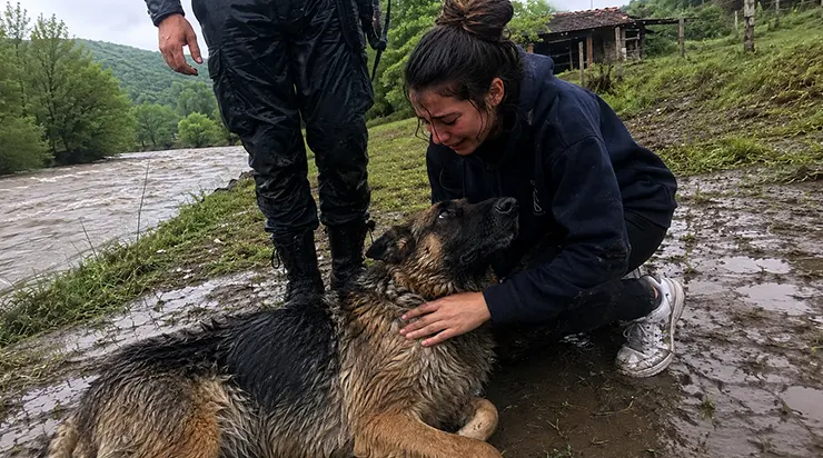 Quand le ruisseau s&rsquo;est transformé en rivière déchaînée et que mon père de 67 ans a disparu sous l&rsquo;eau, notre berger allemand a lutté contre le courant avec une patte blessée