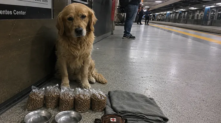 Trois matins de suite, il attendait dans le même coin de la gare, avec à côté de lui cinq sacs de nourriture pour chien soigneusement alignés et une couverture pliée