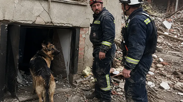 Tout le monde pensait qu&rsquo;il ne restait plus personne dans la maison en ruines, mais un chien refusait de quitter la porte de la cave