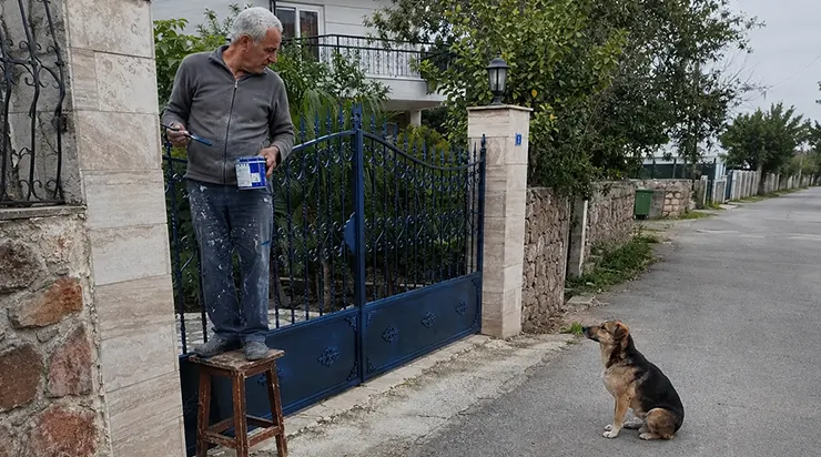 Un vieux chien est arrivé pendant que je peignais mon portail, et il s&rsquo;est simplement assis là sans rien demander ; je n&rsquo;ai compris que bien plus tard pourquoi il était vraiment venu