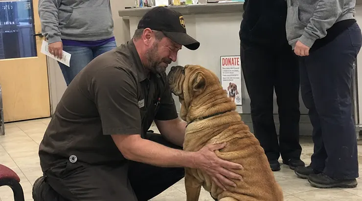 Je n&rsquo;étais qu&rsquo;un livreur qui s&rsquo;était arrêté devant un chien qui n&rsquo;aboyait pas, et trois jours plus tard, un coup de fil m&rsquo;a fait comprendre que j&rsquo;étais son dernier espoir