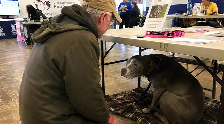 Tous les chiens cherchaient un regard, mais je n&rsquo;ai vu que lui : celui qui espérait, caché sous une table, que personne ne le trouve