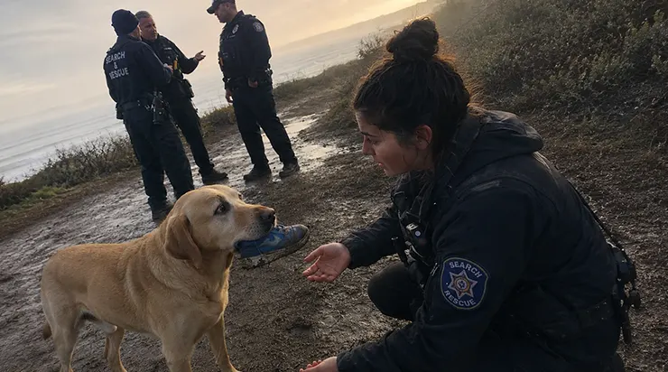 Cette basket bleue maculée de boue était le seul indice que nous avions, et ce chien inconnu la portait dans sa gueule comme le plus précieux des trésors