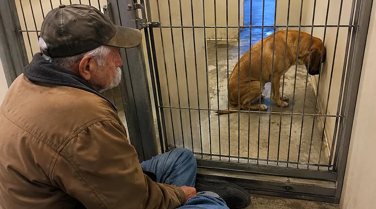 Dans la dernière cage du refuge, il y avait un chien que tout le monde avait abandonné, et moi, le vieux soldat, j&rsquo;ai compris qu&rsquo;il était mon miroir