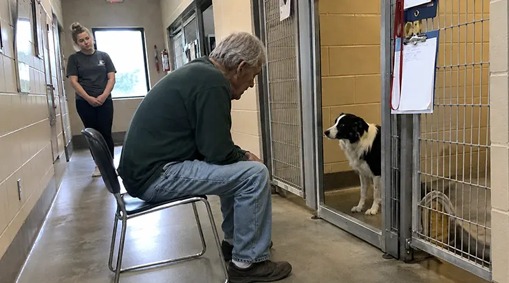 Lucky était le chien que tout le monde avait abandonné, jusqu&rsquo;à ce qu&rsquo;un vieil homme, venu seulement pour faire un don, prouve que parfois, le plus beau des cadeaux est simplement d&rsquo;être présent
