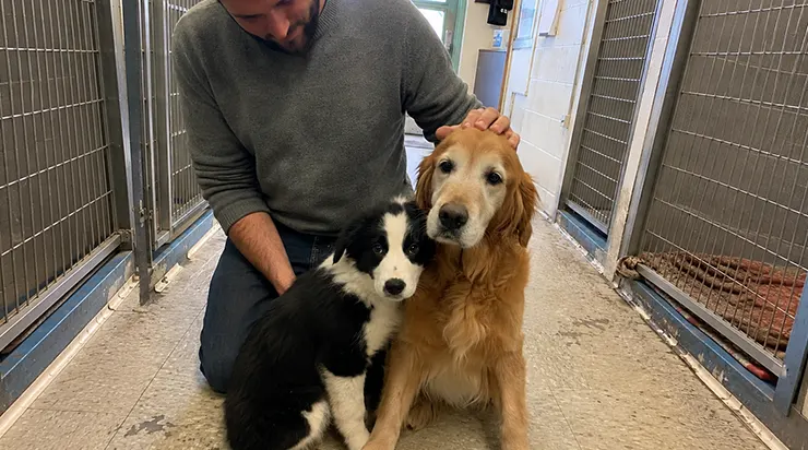 Je ne savais plus comment vivre après ce que le médecin avait dit : la réponse m&rsquo;est venue dans un refuge, dans les yeux de deux chiens qui s&rsquo;étaient sauvés l&rsquo;un l&rsquo;autre