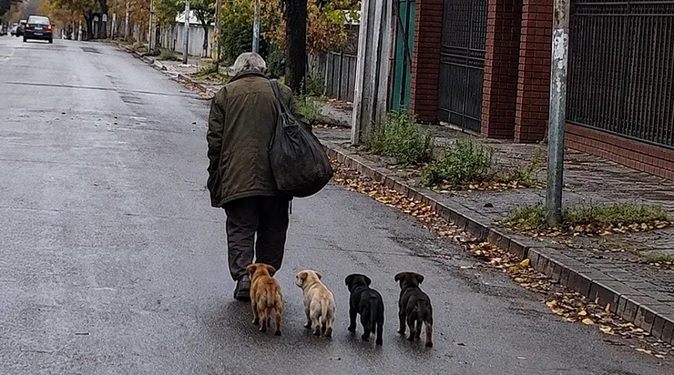 Il leur a donné son dernier morceau de pain, son unique couverture, sans savoir que bientôt, ces quatre chiens deviendraient l&rsquo;unique raison de son propre salut