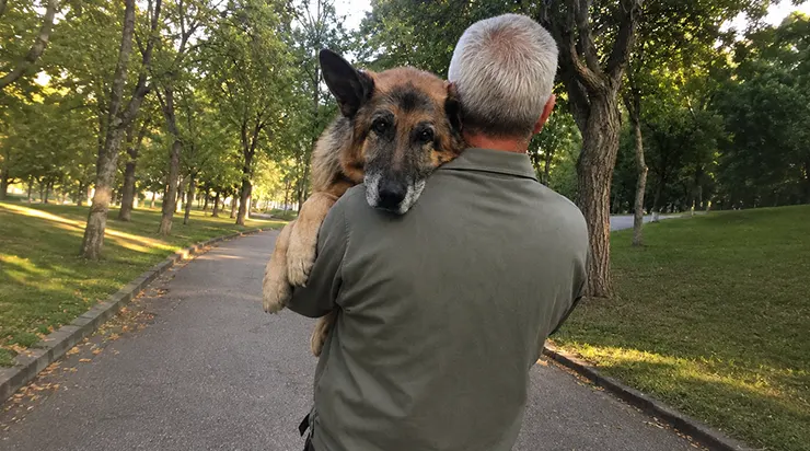 Pendant treize ans, ce chien l’avait protégé. Aujourd’hui que ses pattes ne lui obéissent plus, chaque matin il le prend dans ses bras pour lui rendre tout ce qu’il avait reçu