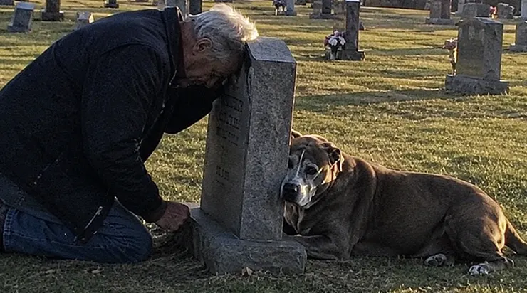 Ma femme a rêvé toute sa vie d&rsquo;accueillir des chiens âgés, mais j&rsquo;ai toujours dit « l&rsquo;année prochaine », jusqu&rsquo;au jour où elle nous a quittés et où j&rsquo;ai trouvé son carnet