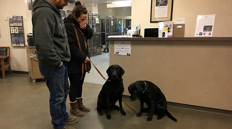 Nous étions déjà sur la route quand Bailey a regardé en arrière, et dans ce regard, il y avait tout un monde que nous ne pouvions pas ignorer