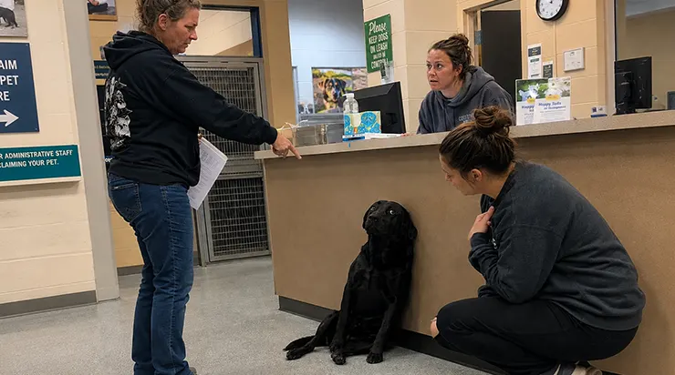 Son maître l&rsquo;avait cherché pendant deux semaines, sans savoir que son ex-femme avait kidnappé le chien et porté de fausses accusations pour se venger