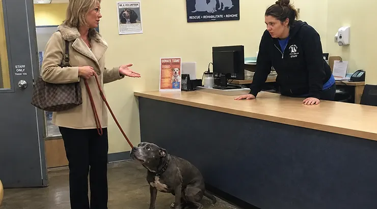 Elle est entrée dans le refuge avec un vieux pitbull et a exigé de l&rsquo;« échanger » contre un chien plus jeune