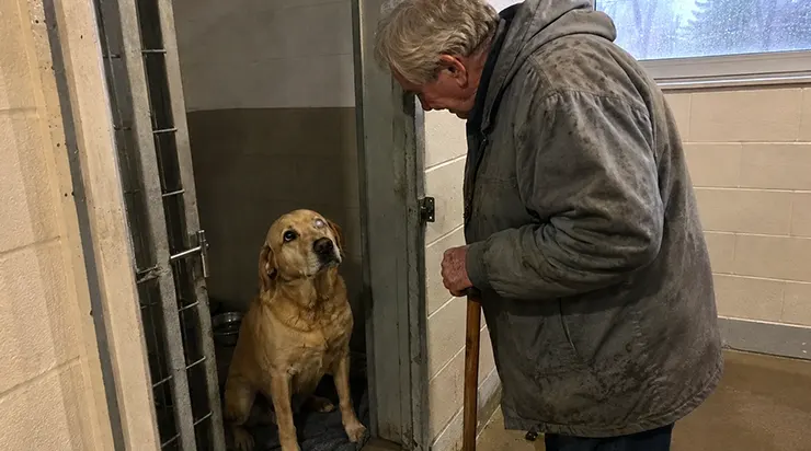 Quand tous ses chiots furent adoptés, Luna, la labrador aveugle, resta dans la cage vide, attendant près de la porte pendant six jours