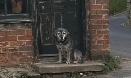 ont