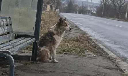 ratée