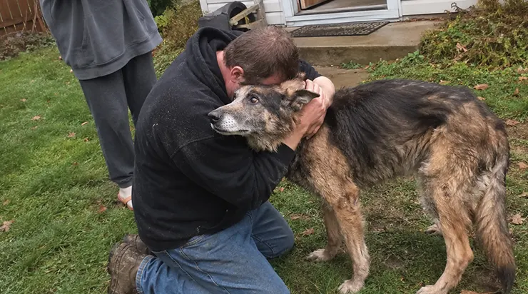 La tempête nous a arraché notre chien, et pendant cinq mois nous l&rsquo;avons cherché partout, jusqu&rsquo;à devoir nous arrêter