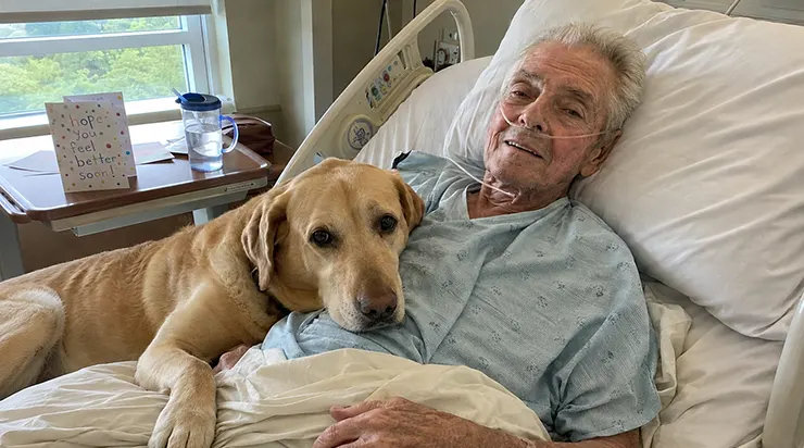 Les médecins disaient qu&rsquo;il avait perdu la volonté de vivre, mais ils ne savaient pas que cette volonté attendait à la maison, dans le cœur d&rsquo;un labrador fidèle