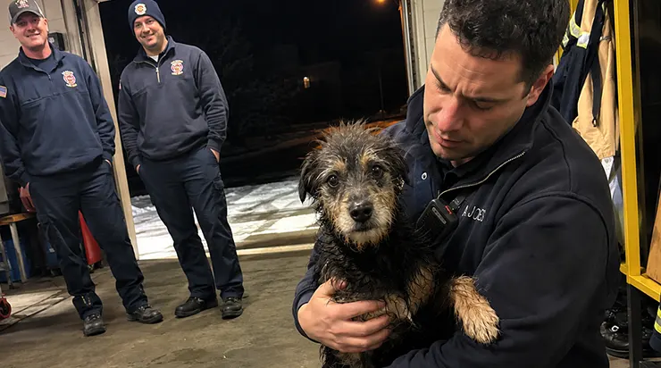 Quand nous l&rsquo;avons trouvé dans la neige, nous pensions sauver un chien perdu, mais lui savait déjà où il allait