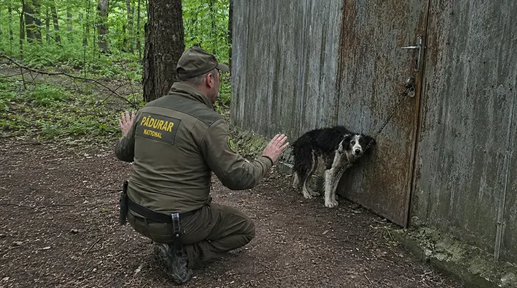 Je me suis agenouillé sur le sol sale d&rsquo;un camping abandonné et j&rsquo;ai commencé à parler à un chien qui avait peur même de ma respiration