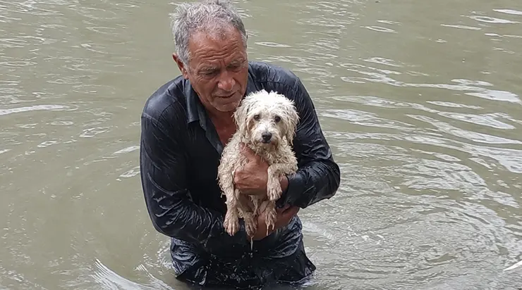 Je me suis jeté dans la rivière glacée pour sauver un petit chien blanc, et quand j&rsquo;ai plongé sous l&rsquo;eau, j&rsquo;ai vu le bloc de ciment que quelqu&rsquo;un avait attaché à son collier