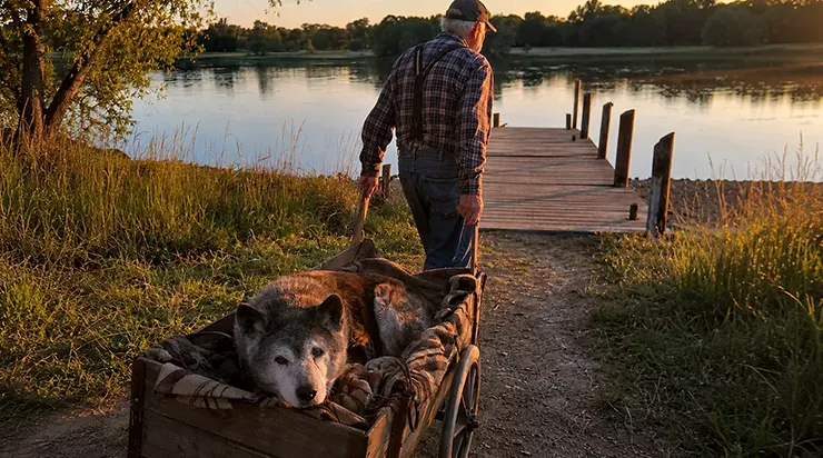 Chaque soir, un vieil homme promenait son chien âgé jusqu&rsquo;à la rivière dans une charrette en bois, et je pensais qu&rsquo;il n&rsquo;arrivait tout simplement pas à lâcher prise