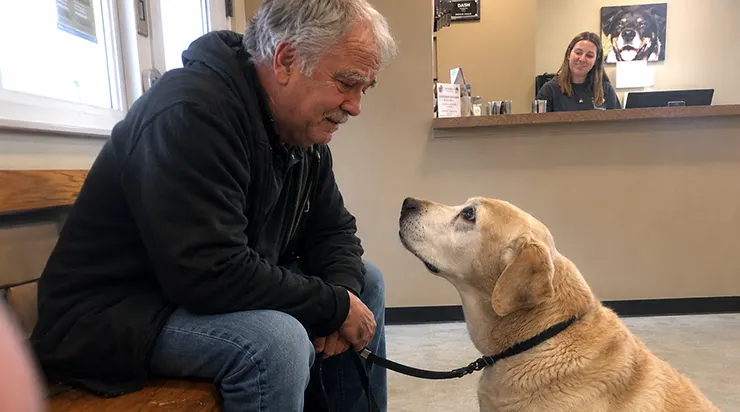 Les gens disaient que visiter un refuge aidait quand votre maison est vide ; ils n&rsquo;ont pas dit qu&rsquo;un vieux labrador trouverait tout ce que j&rsquo;avais enfoui en moi