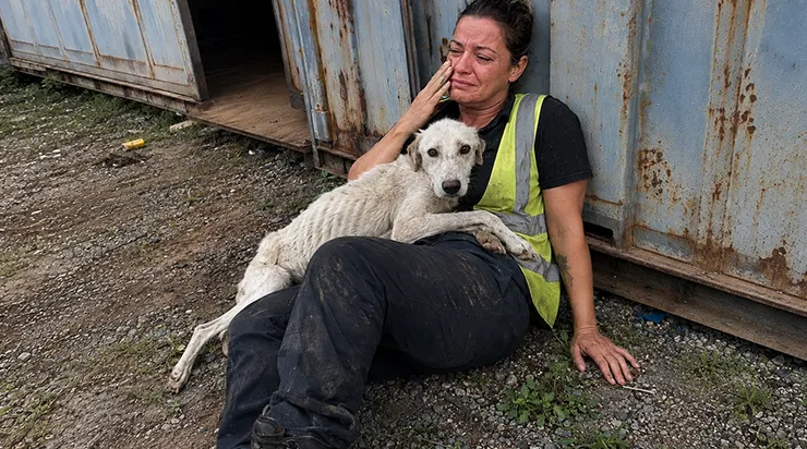Ce chien avait glissé son museau par la plus petite des fissures et s&rsquo;y pressait, comme si cette étroite ouverture était son seul lien avec un monde qui pouvait encore le sauver