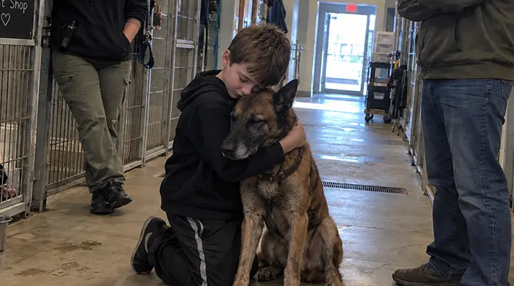 Pour les 11 ans de mon fils, nous sommes allés au refuge pour choisir un petit chiot, mais il s&rsquo;est arrêté devant un chien âgé et abandonné qui avait attendu 412 jours