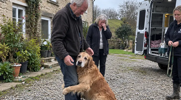 Trois mois après la disparition soudaine de notre fils unique, un appel du refuge pour animaux a tout bouleversé : un golden retriever errant venait d’être retrouvé, porteur d’une puce électronique enregistrée sous le nom de notre garçon