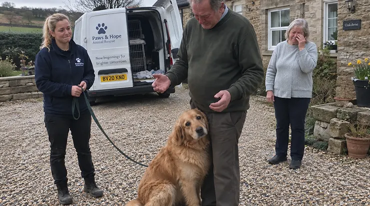 Trois mois après la perte de notre fils, le refuge pour animaux nous a appelés : un golden retriever errant portait une puce au nom de notre fils