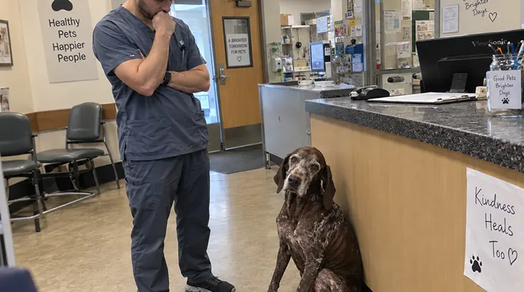 Une femme est arrivée avec son vieux chien en promettant de revenir dans trois heures, mais elle n&rsquo;est jamais revenue, et ce que j&rsquo;ai vu dans les yeux de ce chien a changé ma vie pour toujours